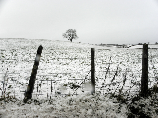 Snow, Gortnacreagh