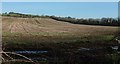 Arable field by the Fosse Way