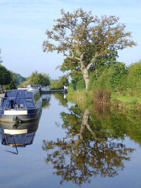 Llangollen Canal east of Hindford,... © Roger D Kidd :: Geograph ...