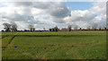 Crop fields west of Lingwood Lane