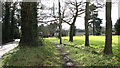 Footpath beside Lingwood Lane