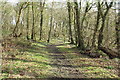 White Loch of Myrton Circular