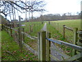 Enclosed footpath between fields south of Horsham