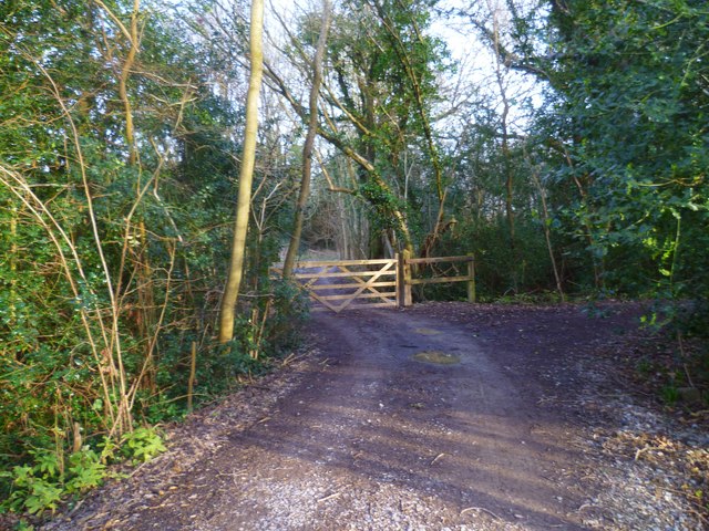 Byway "Green Lane" turns south at Home Wood