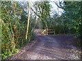 Byway "Green Lane" turns south at Home Wood