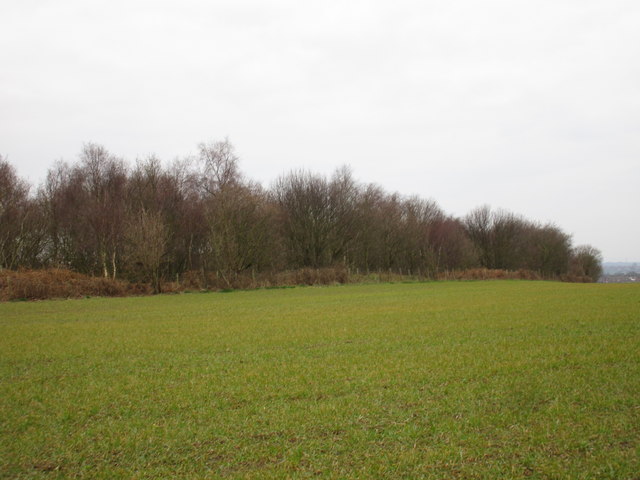 The line of the former railway