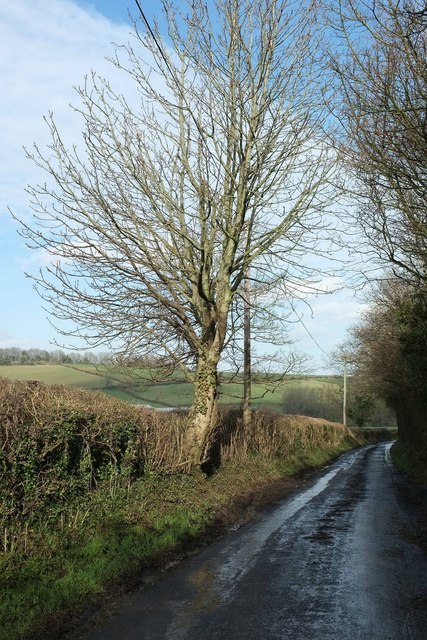 Mill Lane, Priston