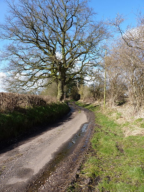 Shredicote Lane near Upper Mitton Farm