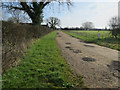 Footpath and campsite