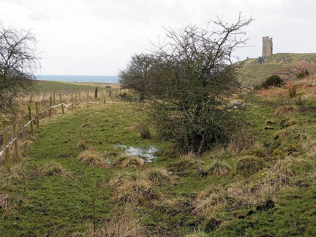 Site of Pen Pond below Scrog Hill