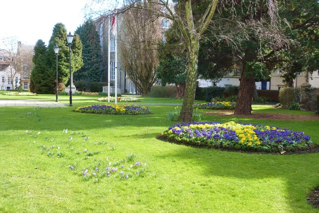 Spring flowers at Chelmsford Cathedral