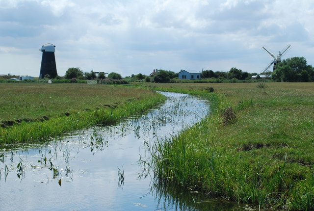 Reedham Marsh