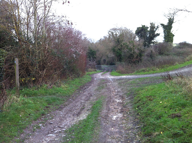 Track along Stoke Hazel Wood