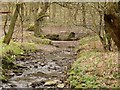 The Tyersal Beck in Black Carr Wood