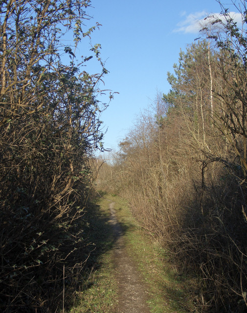 Public footpath east of South Cornelly