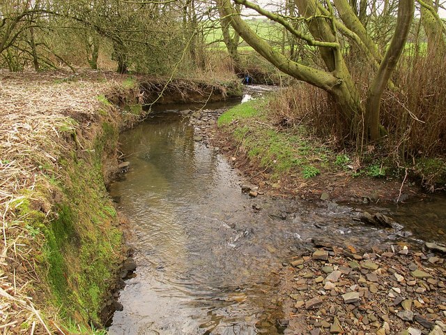 Steep stream bank © Stephen Craven :: Geograph Britain and Ireland