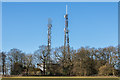 TQ2552 : Masts, Reigate Hill by Ian Capper