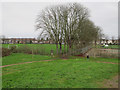 Alexandra Recreation Ground