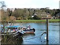 Grey heron on top of a mooring post, Richmond