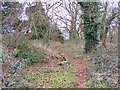 Hermitage Hill Coppice Path