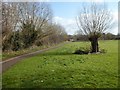 Footpath beside Duck Brook