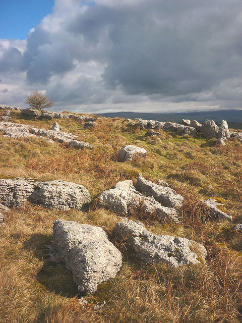 Limestone outcrops, Dalton Crags