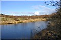 Pond, Keirsbeath