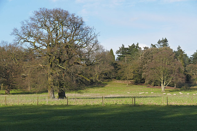 bagshot-park-stock-image-look-and-learn