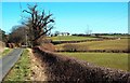 Towards Bridgend Farm