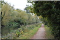 TL4963 : National Cycleroute 11 & Fen Rivers Way by the Cam by N Chadwick