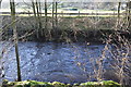 River Nidd