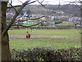 Llama at Goblin Farm, Denbigh