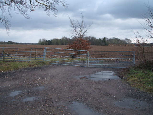 Field entrance near Lark Hall Farm © JThomas :: Geograph Britain and ...