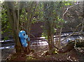 ST5759 : Blue creature in the trees by Neil Owen