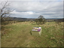NS7376 : The Antonine Wall, Croy Hill by Euan Nelson