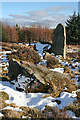 NJ6413 : Tillyfourie Recumbent Stone Circle (8) by Anne Burgess