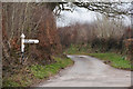 West Somerset : Westcott Lane