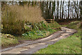 West Somerset : Farm Track