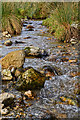 West Somerset : Small Stream