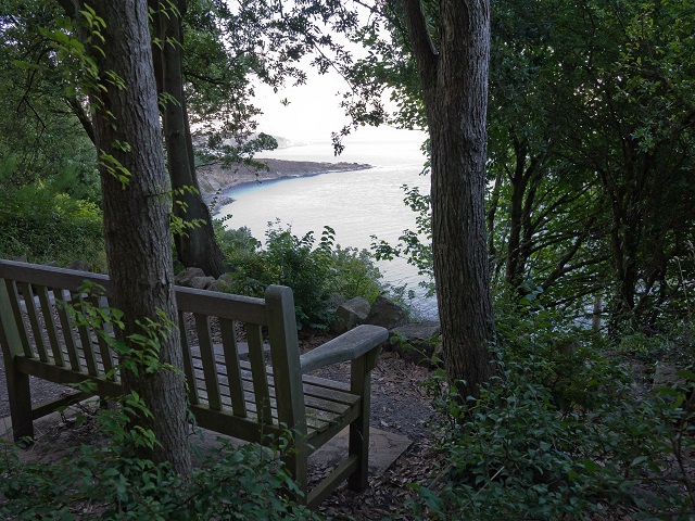 Viewing Bench in Durlston Country Park