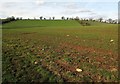 ST6460 : Farmland north of Barrow Vale by Derek Harper