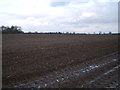 Field north west of Risby