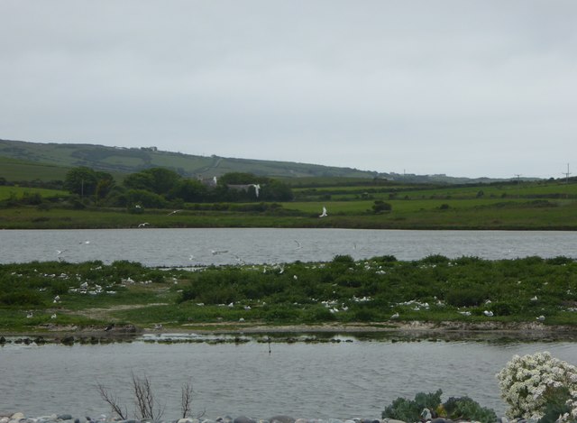 Cemlyn Nature Reserve