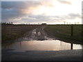 Farm track off the A1101, Fornham All Saints