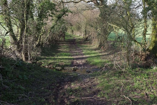 Bridleway north of Barrow Vale
