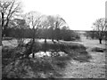 Pond, Low Caythorpe