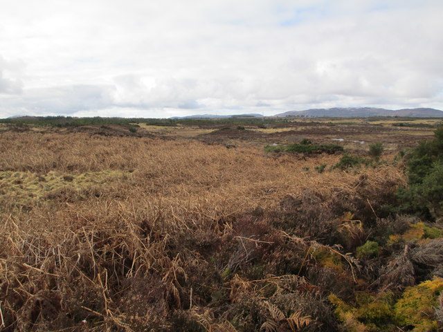 Moorland above Essich