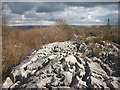 SD5578 : Rocky spine of limestone, Hutton Roof Crags by Karl and Ali