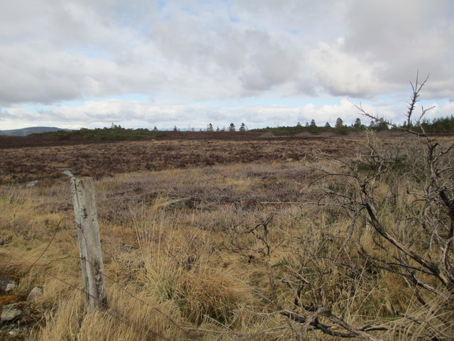 Moorland near Essich