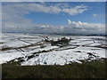 Wheeldon Trees from High Wheeldon